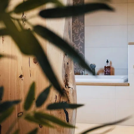 Oda ve Kahvaltı Boutique Serena Vista 4*